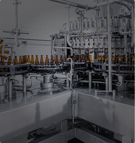 Industrial bottling line with glass bottles on a conveyor belt